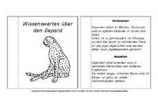 Mini-Buch-für-Lapbook-Gepard-Lesetext.pdf